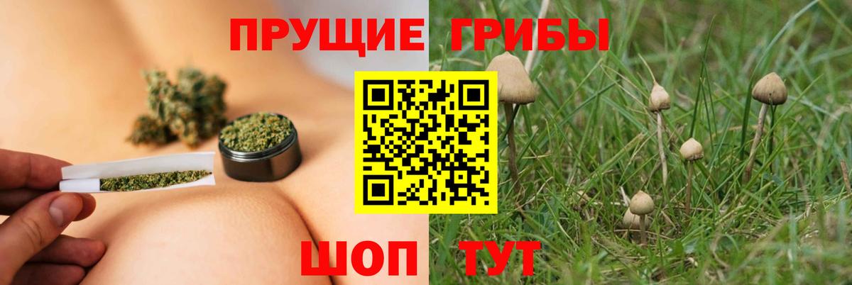 Галлюциногенные грибы ЛСД  Вход с VPN  Ефремов 